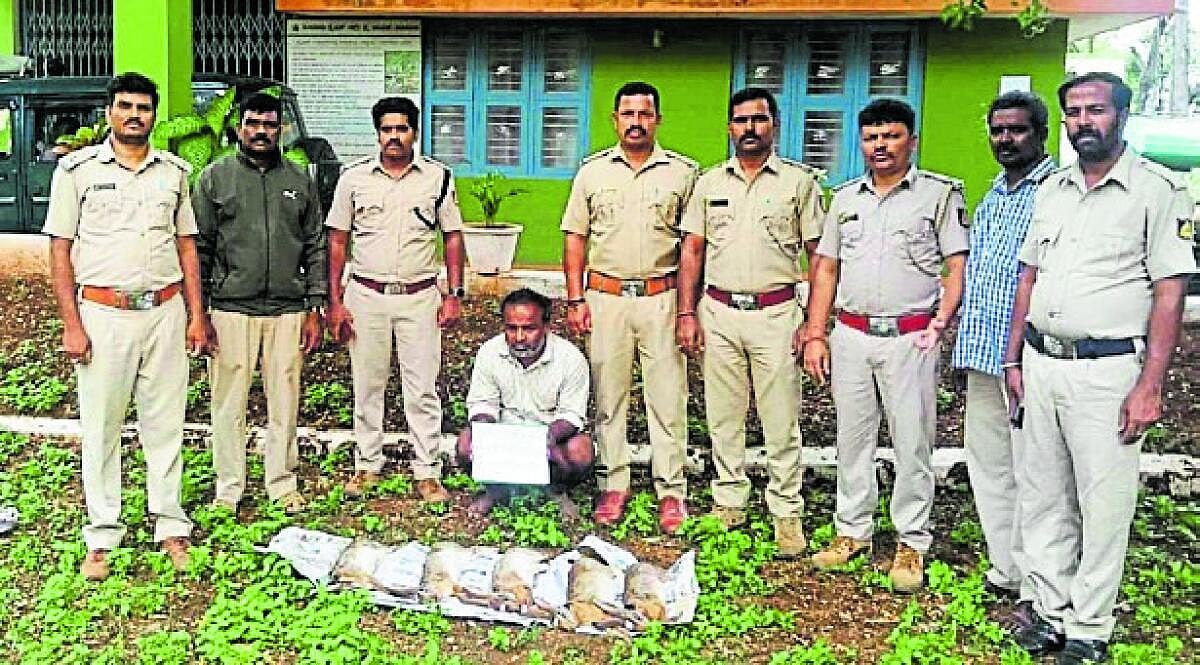 Hunasuru Forest Hare Poaching Accused Arrested