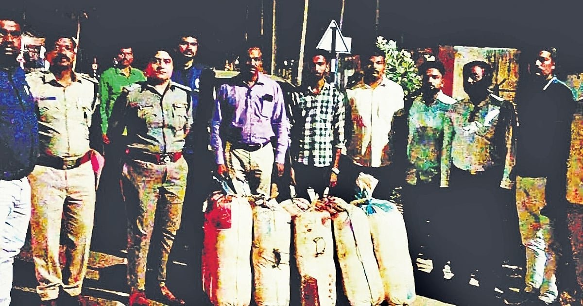 Mysuru becomes key transit point for ganja trade in southern India
