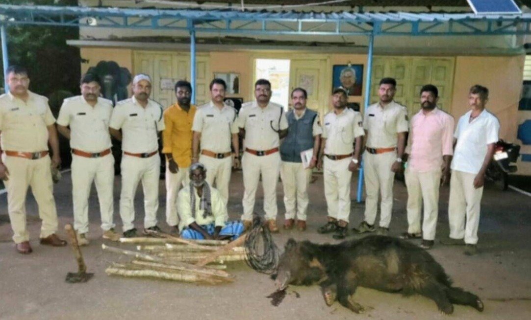 Forest Officials Detain Farmer Over Bear Electrocution in Shivamogga