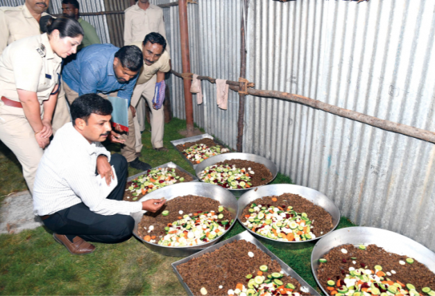 Mysuru Dasara Elephants on Special Nutritional Regime for Jumboo Savari