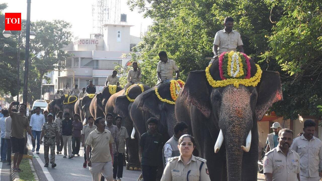 Mysuru Dasara Preparations Begin While Official Website Remains Offline