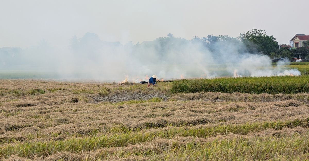 HD Kote farmers and laborers face severe hardship as unseasonal heat disrupts winter sowing